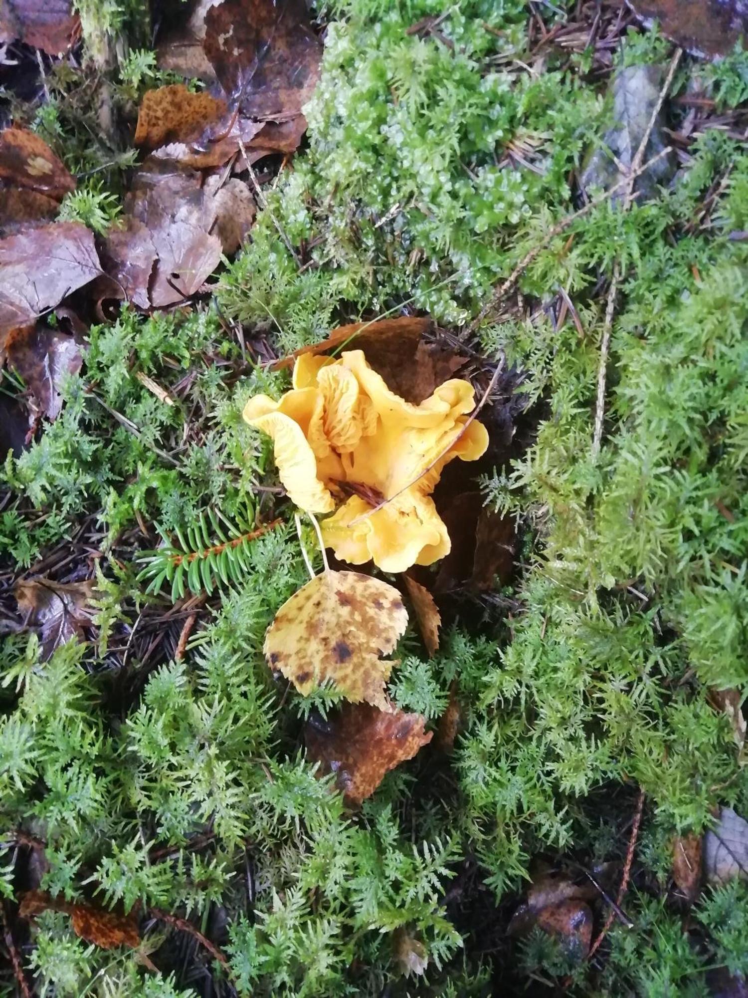 Moshults Vandrarhem Skruv Luaran gambar